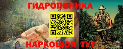 2c-b Будённовск